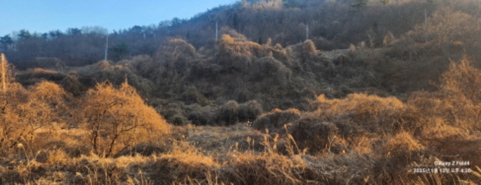 경상남도 고성군 동해면 장좌리 809 외 3필지 답 경매 사진 5