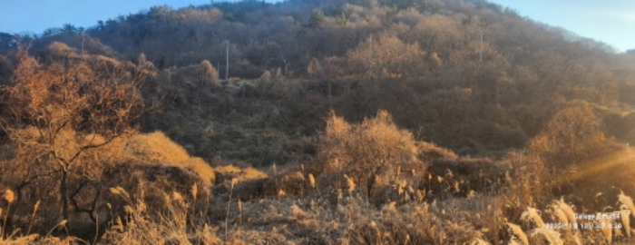 경상남도 고성군 동해면 장좌리 809 외 3필지 답 경매 사진 6