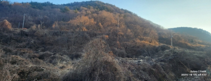 경상남도 고성군 동해면 장좌리 809 외 3필지 답 경매 사진 8
