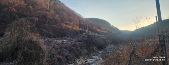 경상남도 고성군 동해면 장좌리 809 외 3필지 답 경매 사진 9