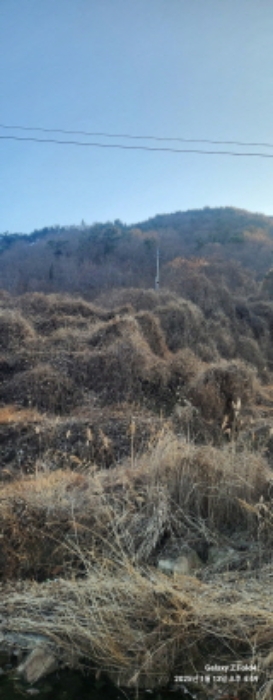 경상남도 고성군 동해면 장좌리 809 외 3필지 답 경매 사진 10
