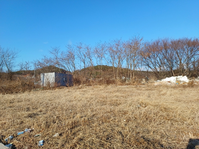 인천광역시 옹진군 영흥면 외리 249-13 외 15필지 임야 경매 사진 16