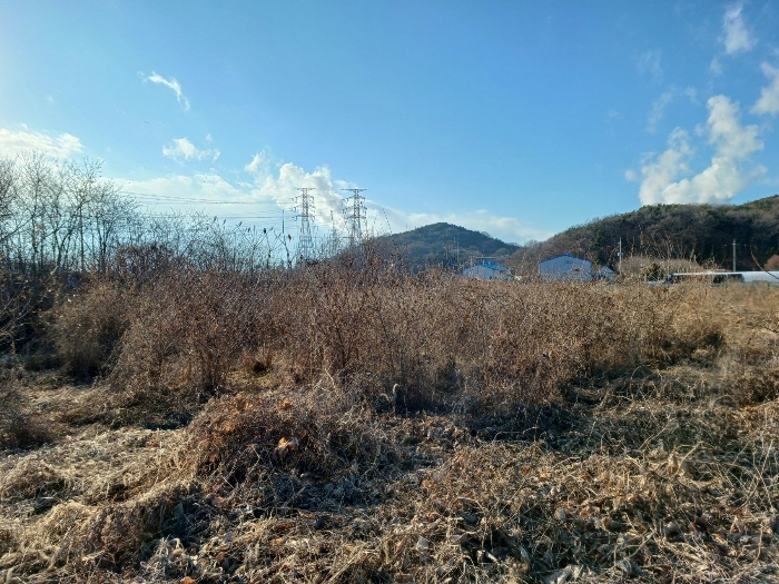 인천광역시 옹진군 영흥면 외리 249-13 외 15필지 임야 경매 사진 17