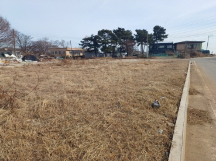 인천광역시 옹진군 영흥면 외리 249-13 외 15필지 임야 경매 사진 4