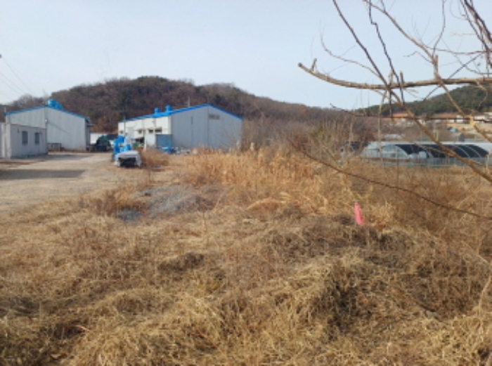 인천광역시 옹진군 영흥면 외리 249-13 외 15필지 임야 경매 사진 7