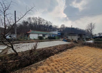 충청북도 충주시 금가면 월상리 535-6 외 1필지 전 경매 사진 1