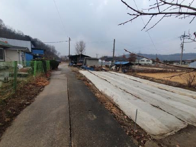 충청북도 충주시 금가면 월상리 535-6 외 1필지 전 경매 사진 2