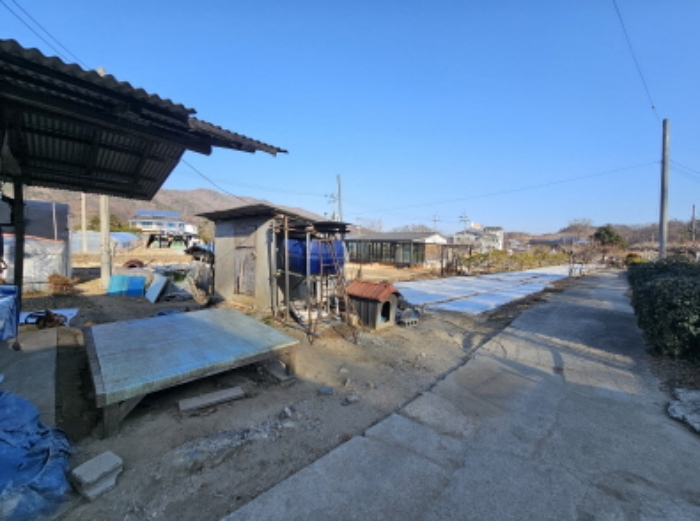 충청북도 충주시 금가면 월상리 535-6 외 1필지 전 경매 사진 16