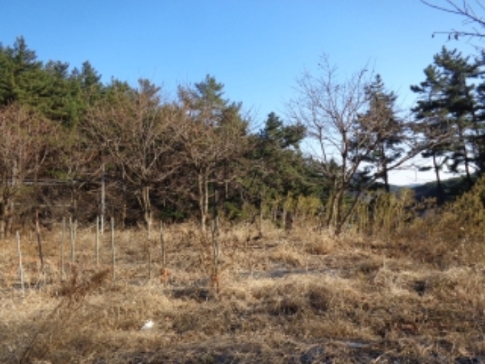 충청남도 태안군 원북면 반계리 558 외 2필지 노유자시설 경매 사진 5