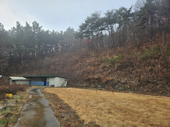 충청남도 태안군 원북면 반계리 558 외 2필지 노유자시설 경매 사진 47
