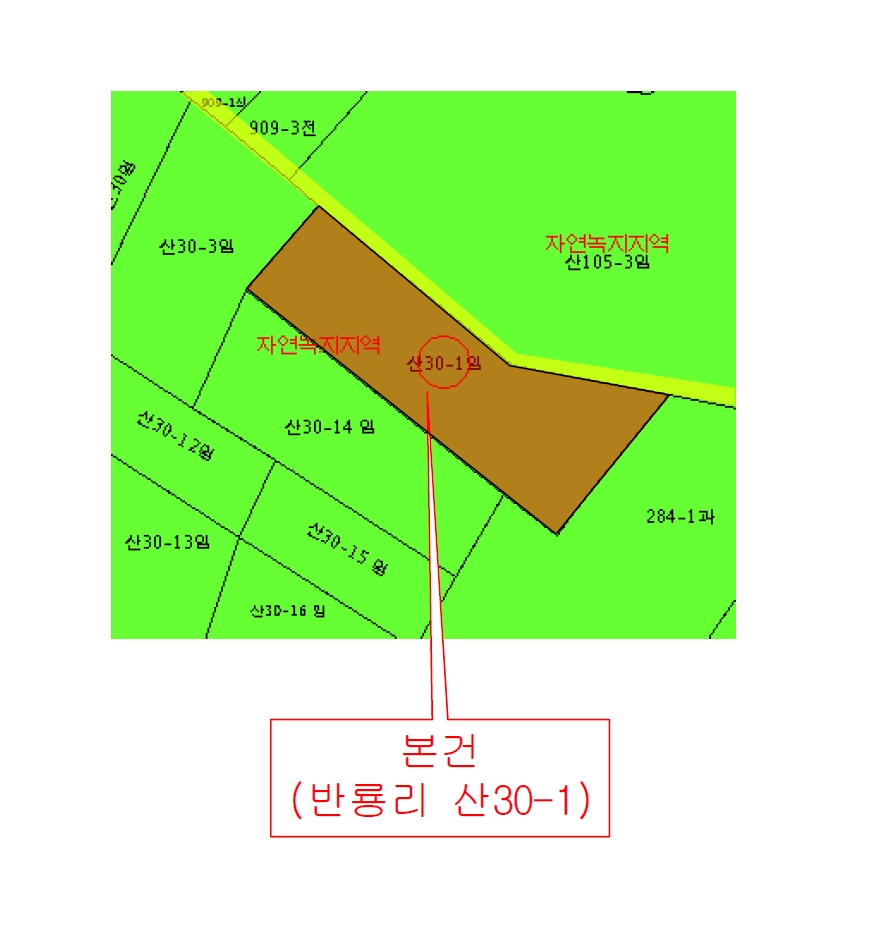 부산광역시 기장군 장안읍 반룡리 산30-1 임야 경매 사진 26
