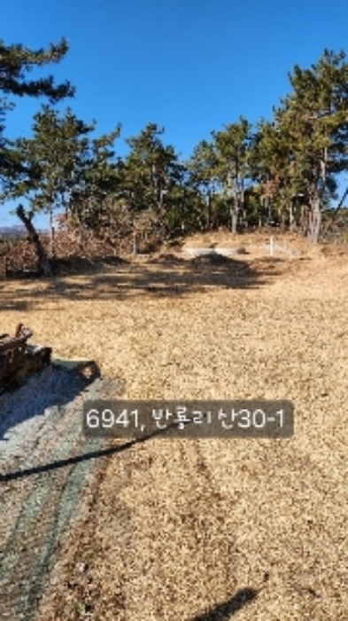 부산광역시 기장군 장안읍 반룡리 산30-1 임야 경매 사진 16