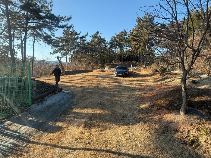 부산광역시 기장군 장안읍 반룡리 산30-1 임야 경매 사진 18