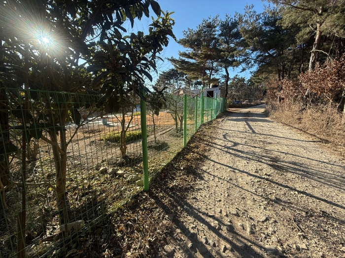 부산광역시 기장군 장안읍 반룡리 산30-1 임야 경매 사진 22