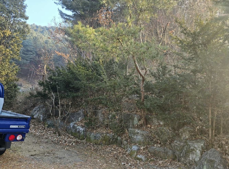 경기 포천시 소흘읍 직동리 4-1 외 1필지 종교시설 경매 사진 19