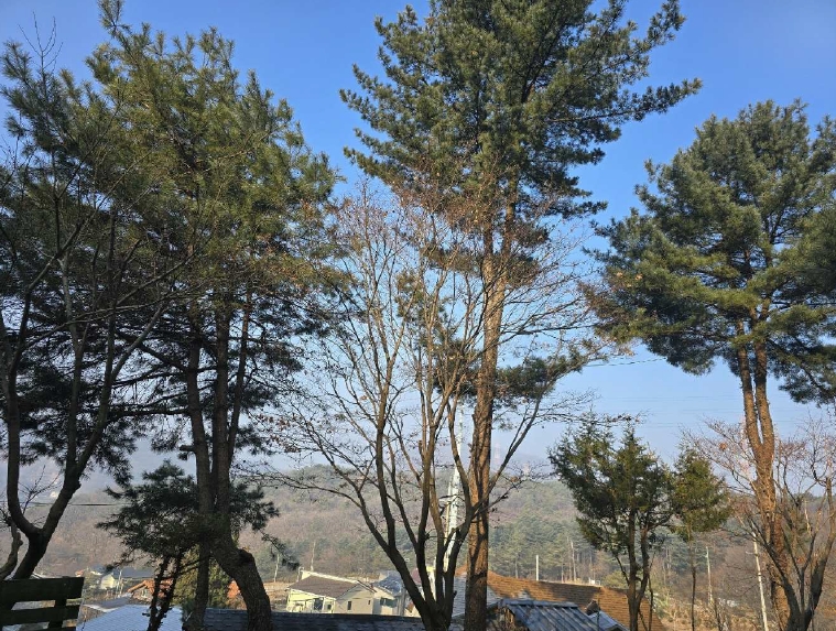 경기 포천시 소흘읍 직동리 4-1 외 1필지 종교시설 경매 사진 24