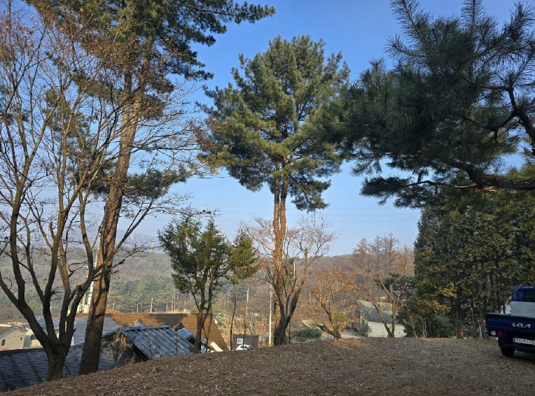 경기 포천시 소흘읍 직동리 4-1 외 1필지 종교시설 경매 사진 25