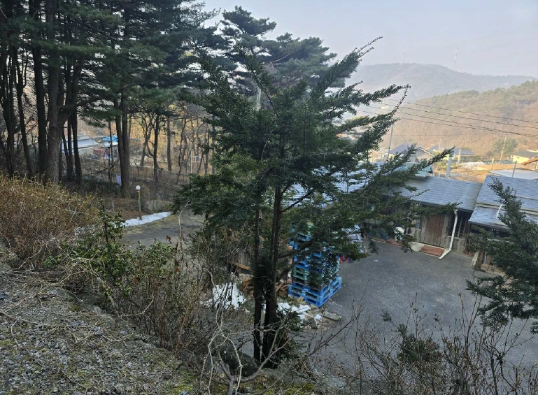 경기 포천시 소흘읍 직동리 4-1 외 1필지 종교시설 경매 사진 27