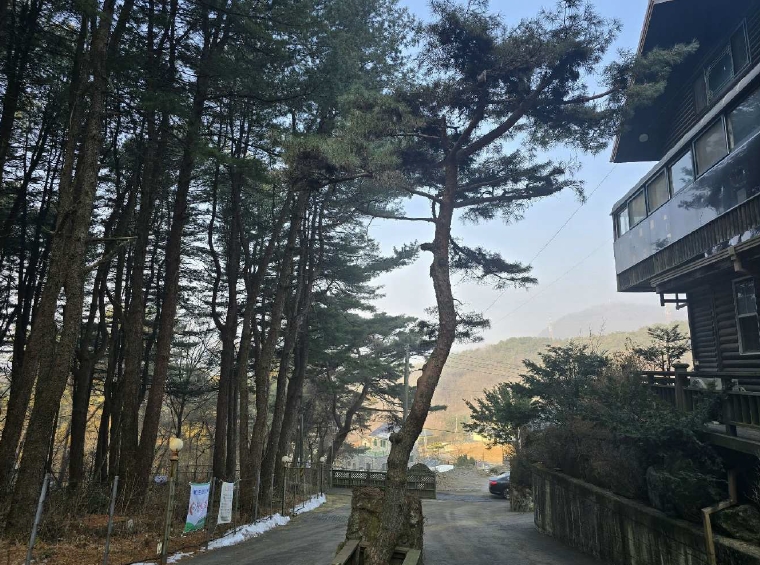 경기 포천시 소흘읍 직동리 4-1 외 1필지 종교시설 경매 사진 30
