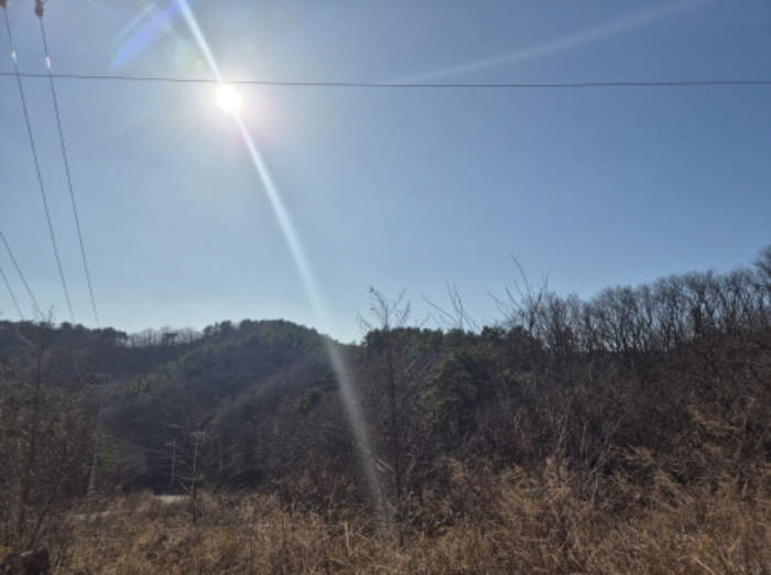 경상북도 영덕군 강구면 하저리 산112 임야 경매 사진 1