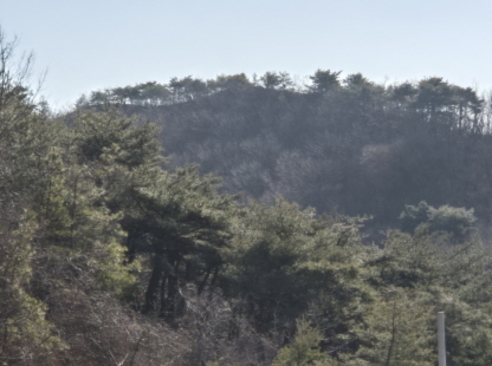 경상북도 영덕군 강구면 하저리 산112 임야 경매 사진 2