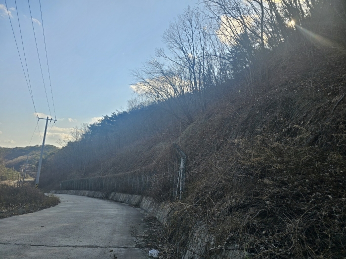 경상북도 영덕군 강구면 하저리 산112 임야 경매 사진 9