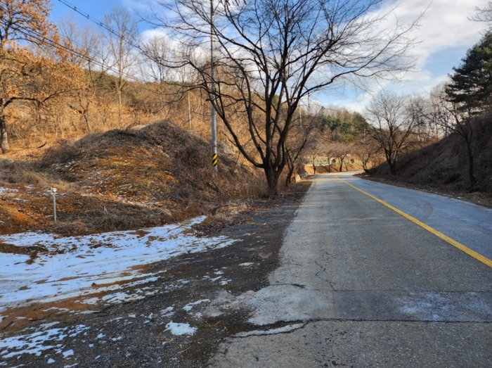 충청북도 제천시 청풍면 도곡리 산33 외 4필지 임야 경매 사진 12