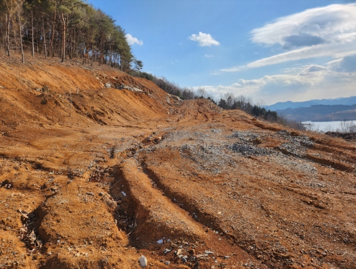 충청북도 제천시 청풍면 도곡리 산33 외 4필지 임야 경매 사진 16