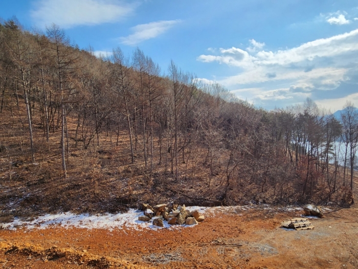 충청북도 제천시 청풍면 도곡리 산33 외 4필지 임야 경매 사진 18