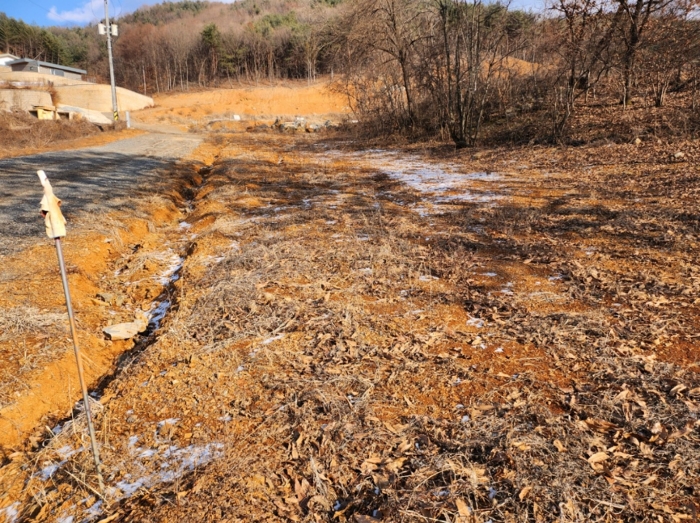 충청북도 제천시 청풍면 도곡리 산33 외 4필지 임야 경매 사진 20