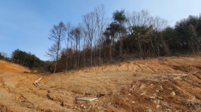 충청북도 제천시 청풍면 도곡리 산33 외 4필지 임야 경매 사진 4