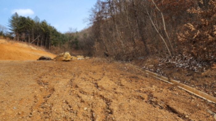 충청북도 제천시 청풍면 도곡리 산33 외 4필지 임야 경매 사진 8