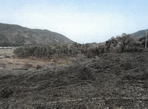 경상남도 남해군 서면 중현리 271 답 경매 사진 1