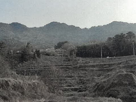 경상남도 남해군 서면 중현리 271 답 경매 사진 2