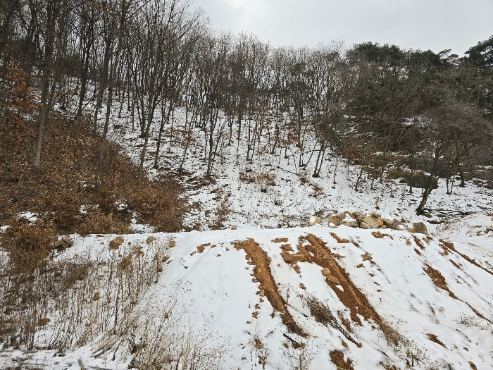 경기도 동두천시 동두천동 2-51 외 14필지 전 경매 사진 49
