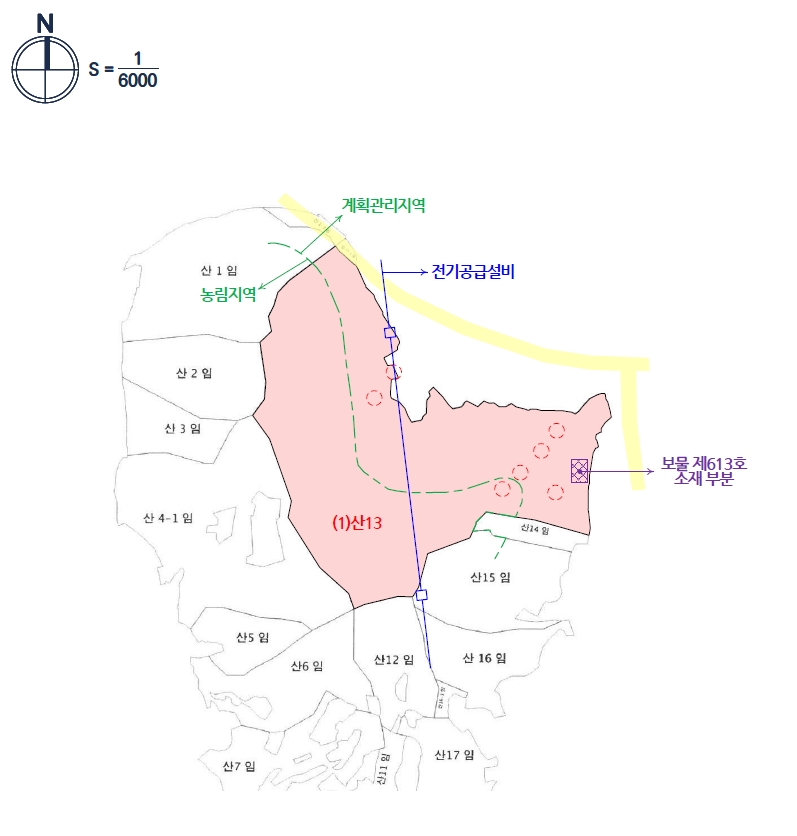 충청북도 청주시 상당구 가덕면 인차리 산13 임야 경매 사진 37