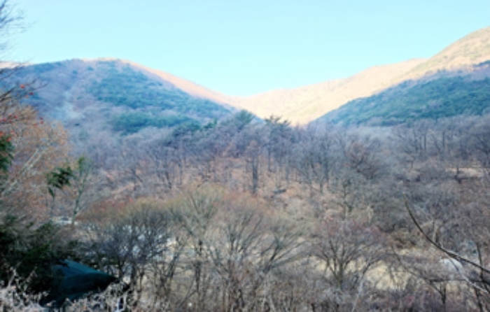 대구광역시 달성군 가창면 오리 산229 임야 경매 사진 12