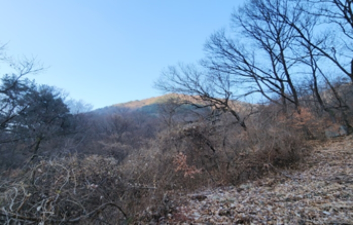 대구광역시 달성군 가창면 오리 산229 임야 경매 사진 13