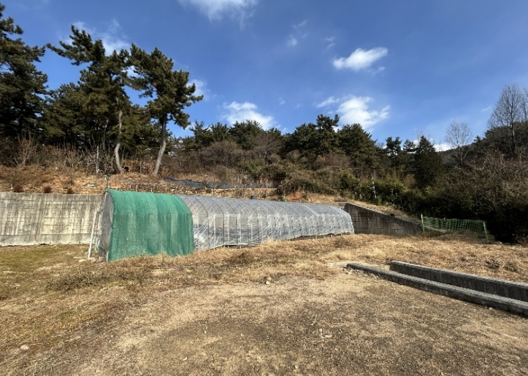 경상남도 김해시 구산동 390-2 외 4필지 전 경매 사진 8