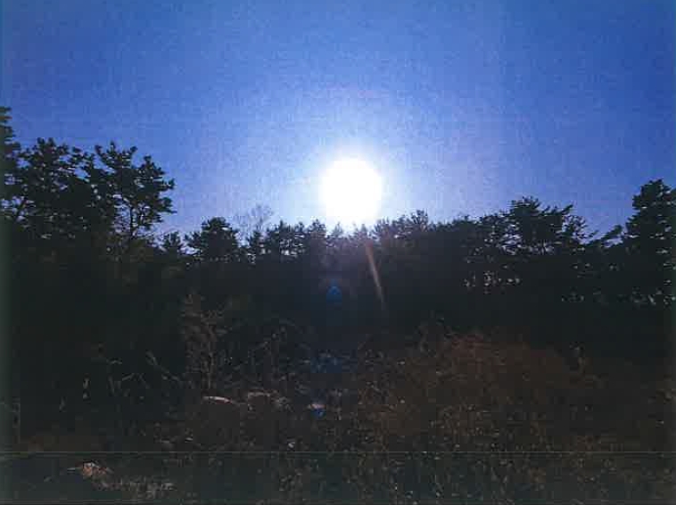 경상남도 김해시 명법동 800-15 외 6필지 대지 경매 사진 11