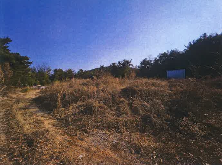 경상남도 김해시 명법동 800-15 외 6필지 대지 경매 사진 4