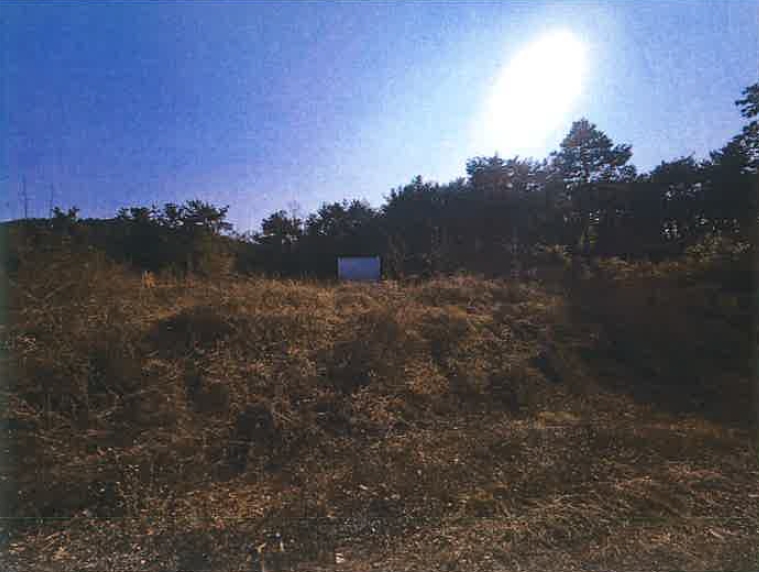 경상남도 김해시 명법동 800-15 외 6필지 대지 경매 사진 5