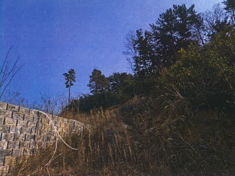 경상남도 김해시 명법동 800-15 외 6필지 대지 경매 사진 8
