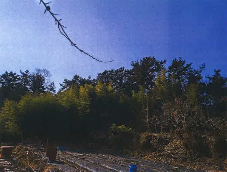 경상남도 김해시 명법동 800-15 외 6필지 대지 경매 사진 10