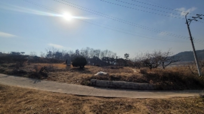경상남도 함안군 법수면 사정리 450 전 경매 사진 1