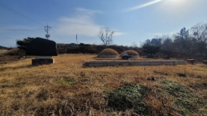 경상남도 함안군 법수면 사정리 450 전 경매 사진 2