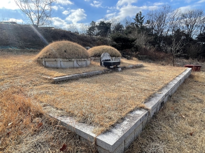 경상남도 함안군 법수면 사정리 450 전 경매 사진 5