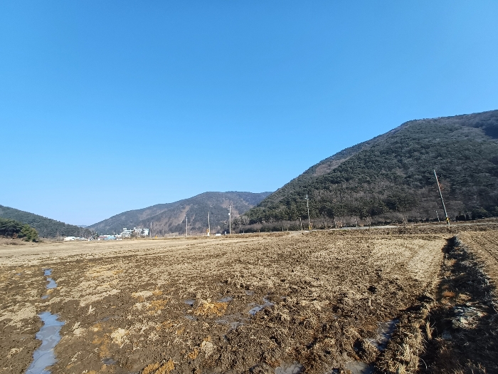 경상남도 사천시 사남면 종천리 541 답 경매 사진 18