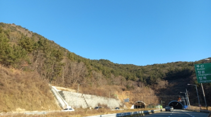 경상남도 거제시 덕포동 산61 임야 경매 사진 9