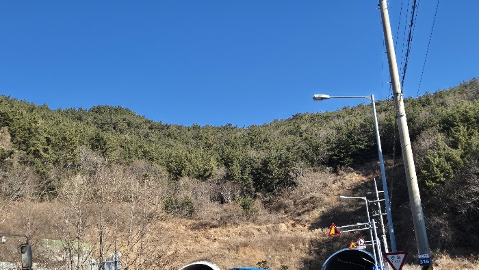 경상남도 거제시 덕포동 산61 임야 경매 사진 11